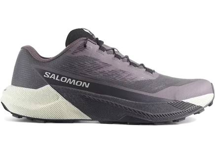 Женские кроссовки Salomon Pulsar Excalibur Nine Iron