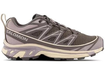 Мужские кроссовки Salomon XT-6 Expanse, фиолетово-серые