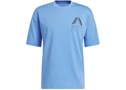 Мужская футболка Adidas AE GFX Schematic, сине-голубая