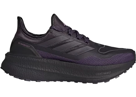 Женские кроссовки Adidas Ultra Boost 5 Gore-Tex, черные/сливовые