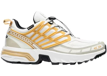 Мужские кроссовки Salomon ACS Pro Gore-Tex, Antelope Tea