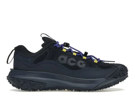 Мужские кроссовки Nike Mountain Fly 2 Gore-Tex, темно-синий