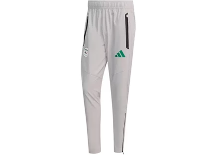 Мужские спортивные штаны Adidas Algeria Tiro Tech, серые