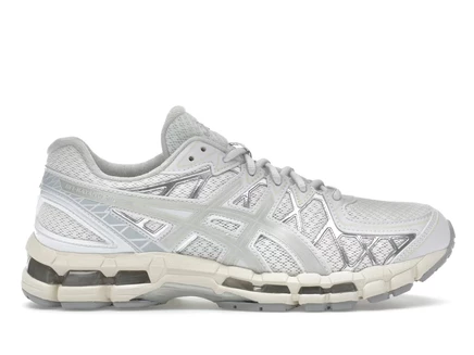 Мужские кроссовки Asics Gel-Kayano 20, белые/серебристые