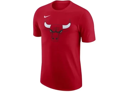 Мужская футболка Nike nba chicago bulls essential, красно-белая