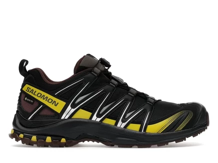 Мужские кроссовки salomon xa pro 3d gore-tex, черные