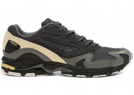 Мужские кроссовки Mizuno Wave Rider 10 Cordura, многоцветные