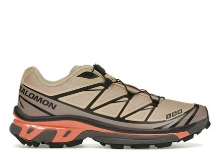Мужские кроссовки Salomon XT-6, Hazelnut/Quail