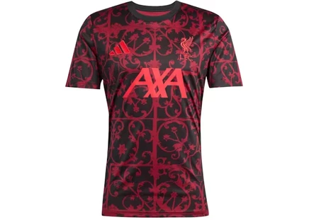 Футболка Adidas Liverpool FC 25/26, чёрно-рубиновая