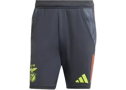 Мужские шорты Adidas Benfica Tiro 24, серые с красным