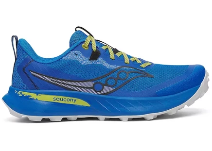 Мужские кроссовки saucony peregrine 15, сине-зеленые