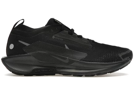 Кроссовки Nike React Pegasus Trail 5 Gore-Tex, черные