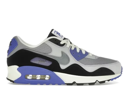 Мужские кроссовки Nike Air Max 90 SP Patta Waves, сапфировые