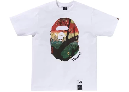 Мужская футболка Bape Ape Head Canvas Art IV, белая