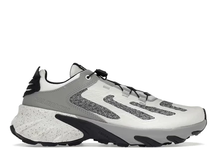 Унисекс кроссовки Salomon Speedverse PRG, черно-серые