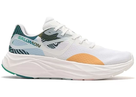 Мужские кроссовки Salomon Advanced Aero Glide Ciele