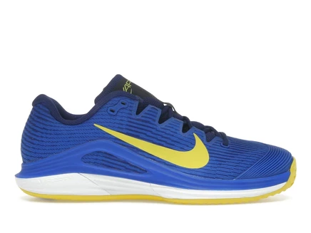 Мужские кроссовки Nike Court Air Zoom Vapor 12 Clay, сине-белые