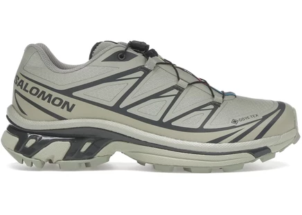Унисекс кроссовки Salomon XT-6 Gore-Tex, чайный/торфяной