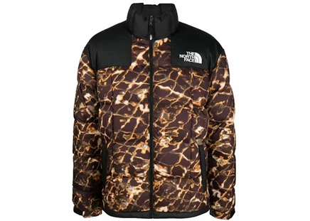 Мужская куртка the north face lhotse, черно-золотая