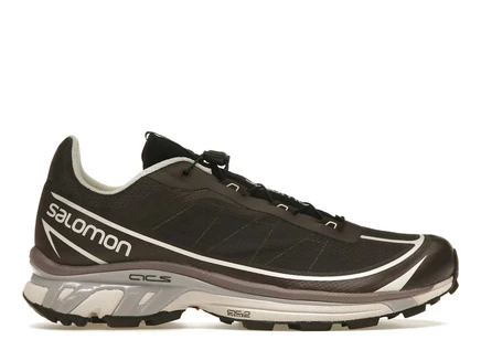 Унисекс кроссовки Salomon XT-6 FT, сланцевые/шоколадно-сливовые/морганитовые