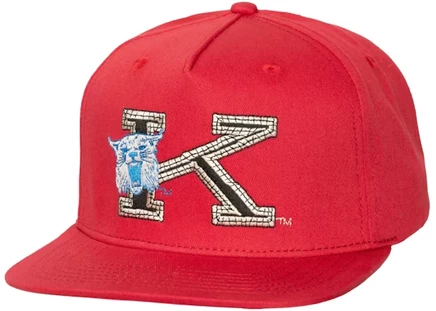 Унисекс кепка Travis Scott Kentucky Wildcats snapback, красная