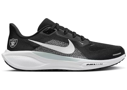 Мужские кроссовки Nike Pegasus 41, черно-серебристо-белые