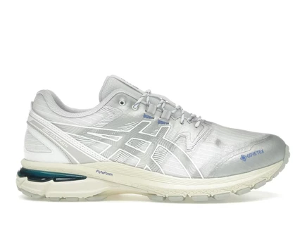 Мужские кроссовки Asics Gel-Terrain Gore-Tex, бело-серебристые
