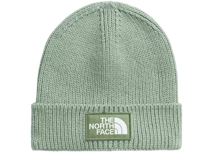Мужская шапка-бини The North Face TNF Logo Box, сланцево-моховой/корично-серый