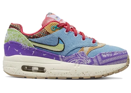 Детские кроссовки Nike Air Max 1 SP Concepts Far Out, многоцветные