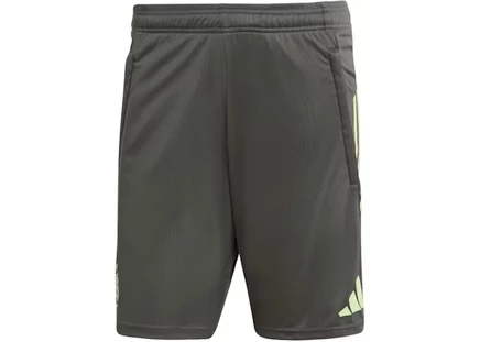 Мужские шорты Adidas Real Madrid Tiro 25, серые