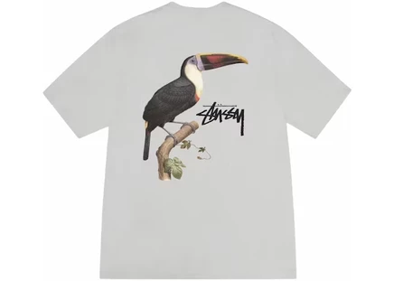 Мужская футболка Stussy Toucan, дымчато-серая