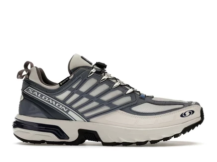 Мужские кроссовки Salomon ACS Pro Gore-Tex, серые