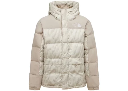 Мужская куртка The North Face Nuptse, серебристая