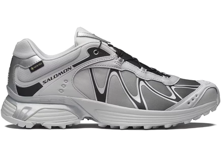 Кроссовки Salomon XT-Whisper Gore-Tex, серо-фиолетовые