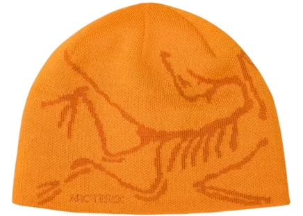 Унисекс шапка-бини Arc'teryx Bird Head, blaze/copper sky