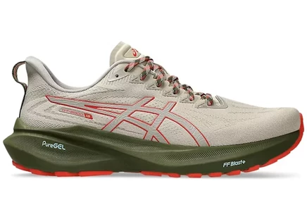 Мужские кроссовки Asics GT-2000 13 TR, бежево-красные