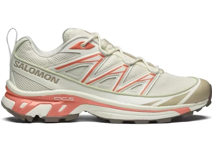 Мужские кроссовки Salomon XT-6 Expanse, бежево-серые