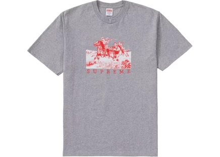 Supreme Riders Tee Heather Grey heather grey