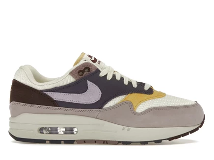 Женские кроссовки Nike Air Max 1 Dark Raisin Hydrangeas, темно-бордовые/сиреневые