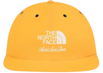 Мужская нейлоновая шапка Aime Leon Dore x The North Face, золотая