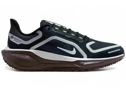 Женские кроссовки Nike Air Zoom Pegasus 41 Gore-Tex, темно-обсидиан