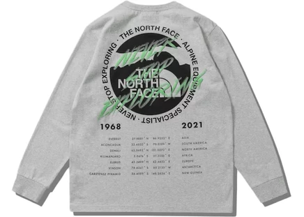 Мужской лонгслив The North Face x Invincible, серый