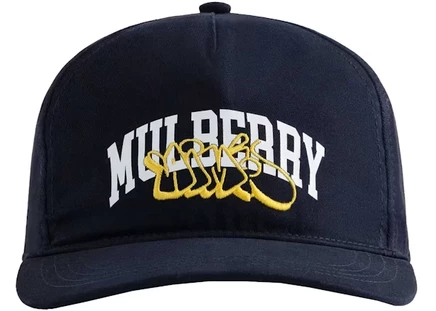Мужская шапка Aime Leon Dore Mulberry Throwy, темно-синяя