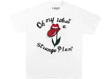 Мужская футболка Cactus Plant Rolling Stones, белая