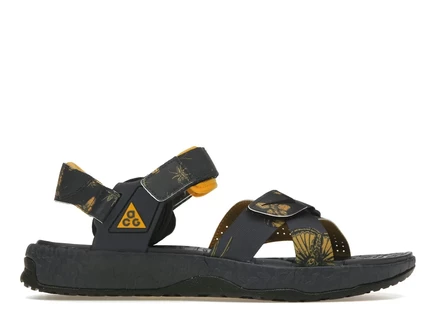 Мужские кроссовки Nike ACG Air Deschutz SE, синий