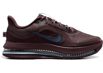 Женские кроссовки Nike Pegasus Premium, многоцветные