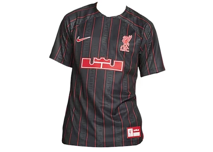 Мужская футболка Nike LeBron x Liverpool F.C. Dri-FIT Stadium, антрацит/красная