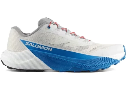 Мужские кроссовки Salomon Pulsar, серо-бело-синие