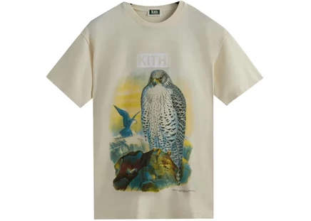 Мужская винтажная футболка Kith AMNH Falcon, песочная