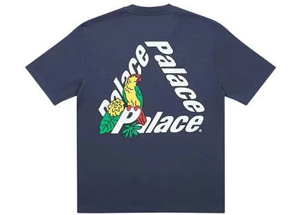 Мужская футболка Palace Parrot Palace-3, темно-синяя